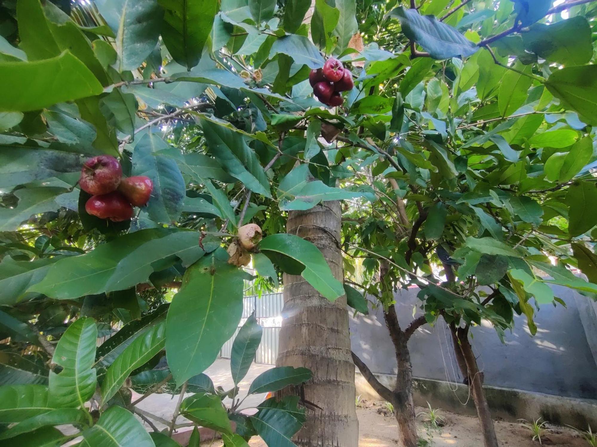 Enoch Guest House 马纳尔 外观 照片
