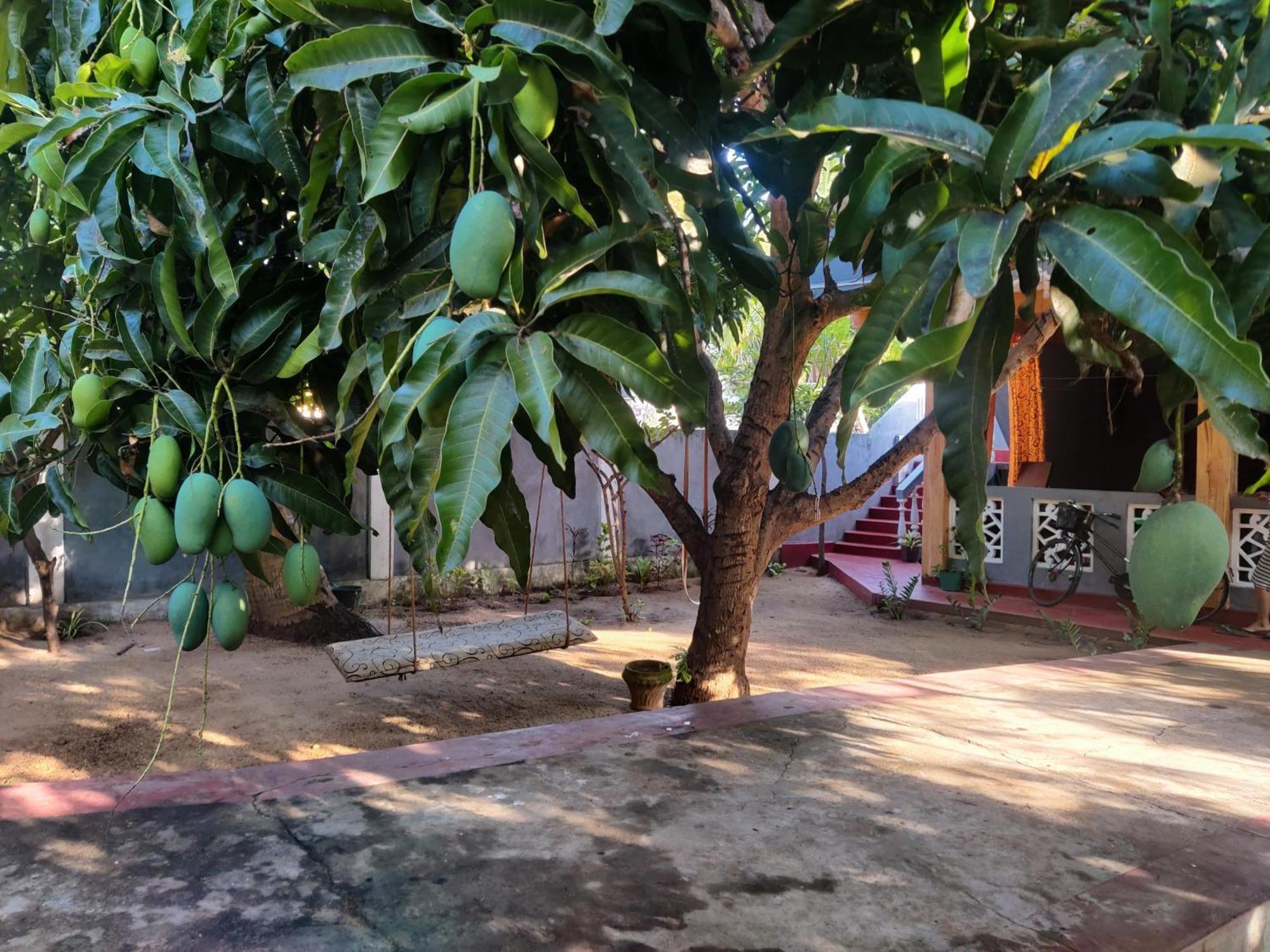 Enoch Guest House 马纳尔 外观 照片