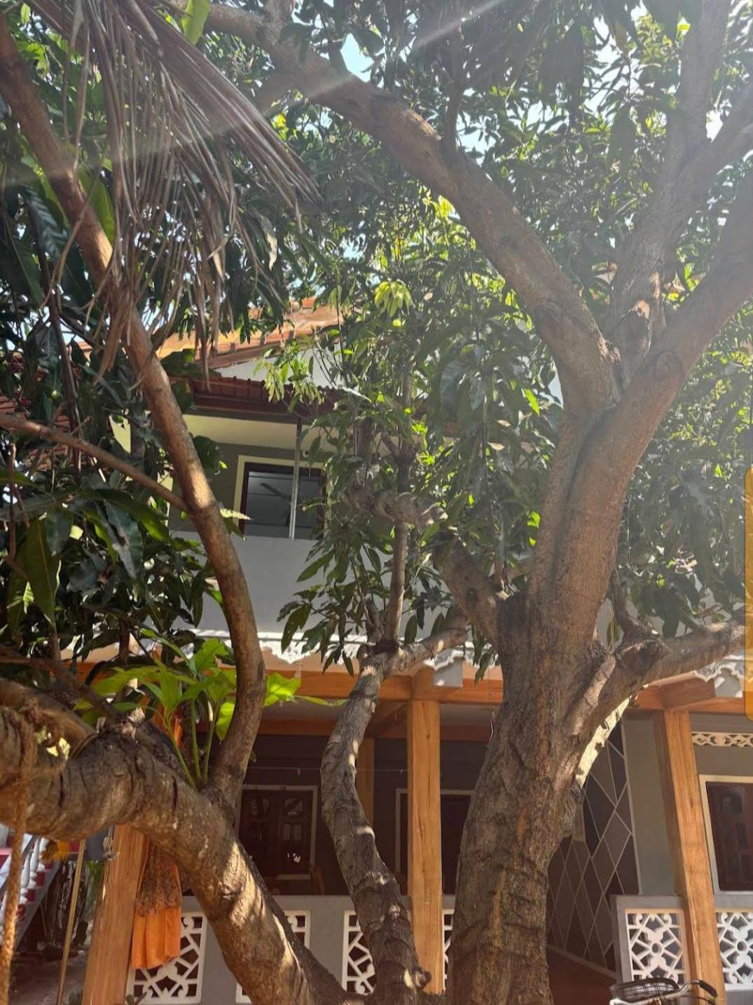 Enoch Guest House 马纳尔 外观 照片
